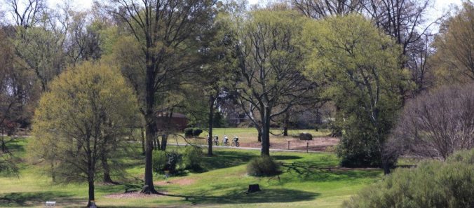 11769_10152710405840057_182746907_n