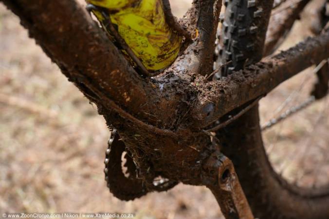 1908228_619952384725299_326215085_n