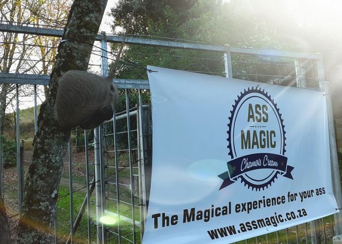 10452467_10154260455455437_2891203665357282830_n