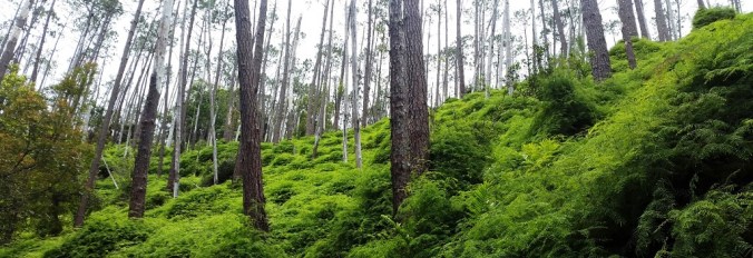 20150114_111537_resized