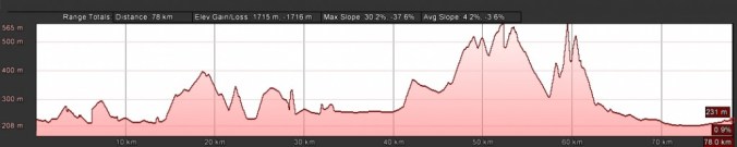 profile_day_1-1024x206